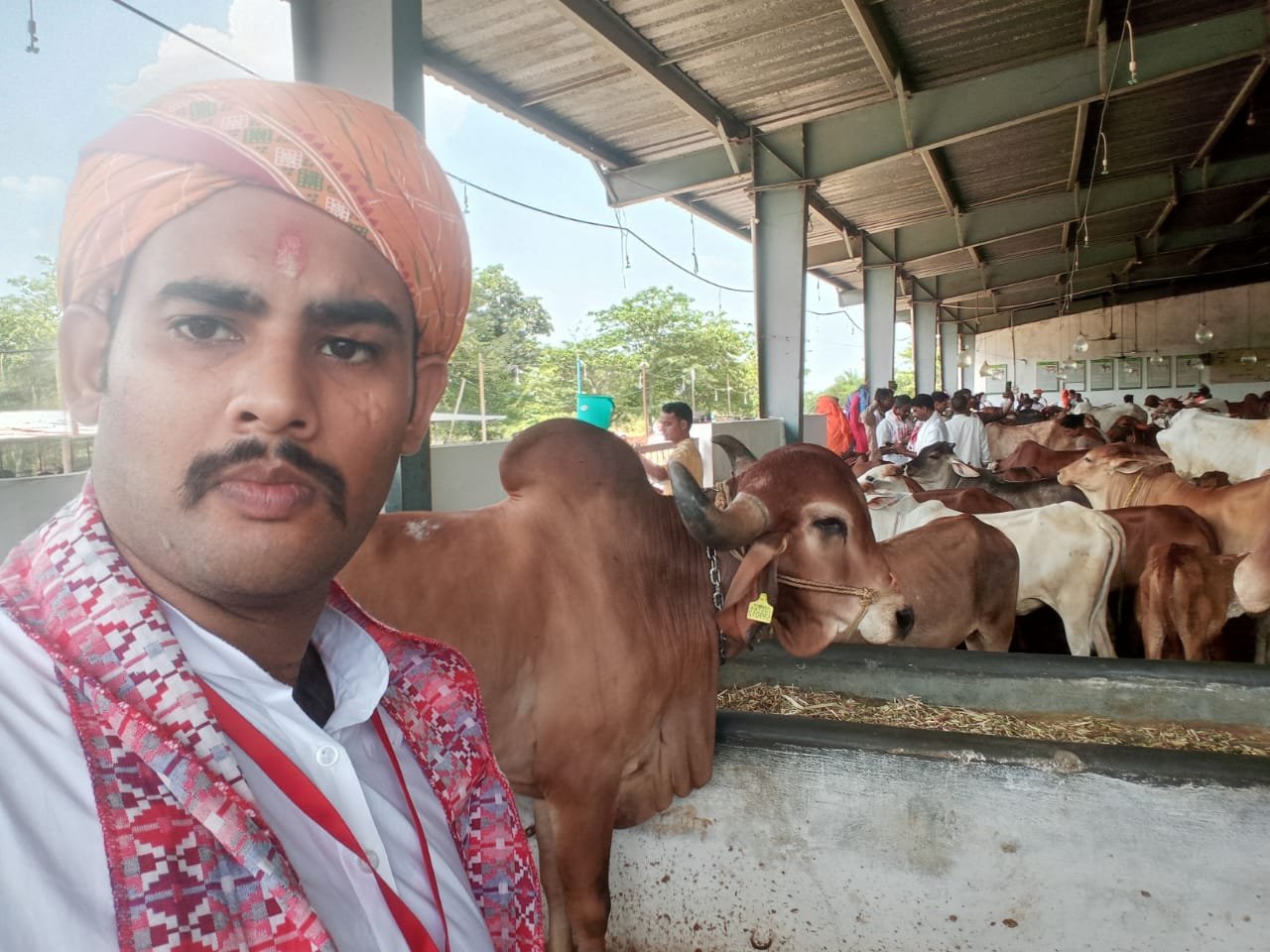 Gaushala Gau Seva