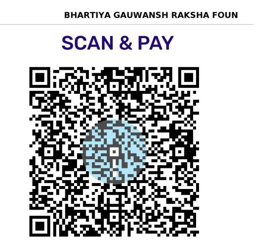 BGRF Donation QR Code